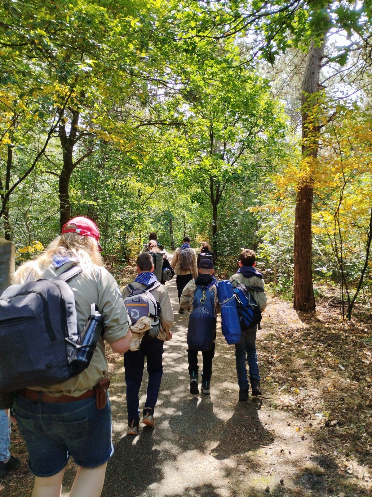 Scouts lopen met rugzakken over een bospad