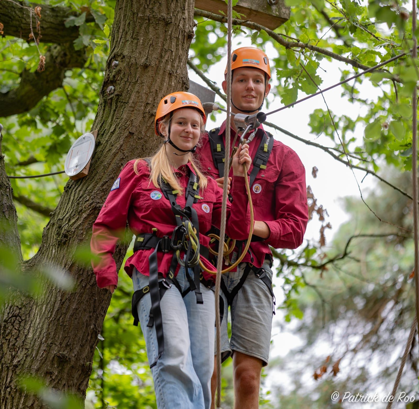 Twee explorers in klimgordel hoog in een boom